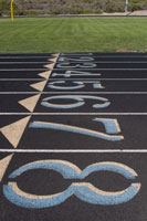 running for beginners start line