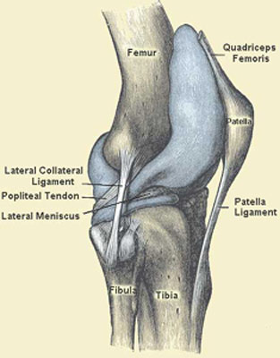 runners knee - patella femoral syndrome