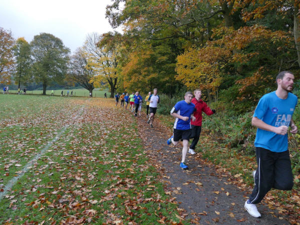 Runner and companions following a familiar park route.