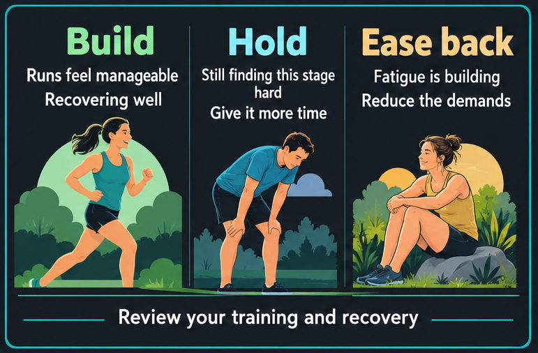 Three options for reviewing training: build, hold or ease back.